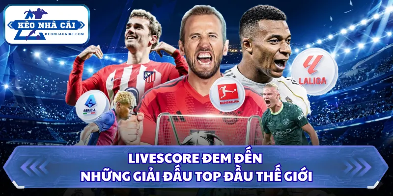Livescore đem đến những giải đấu top đầu thế giới