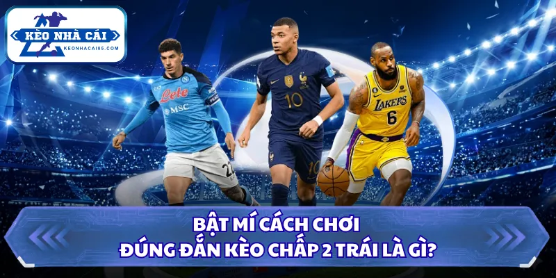 Kèo Chấp 2 Trái Là Gì? Tìm Hiểu Cùng Kèo Nhà Cái 2026 1 Bật mí cách chơi đúng đắn kèo chấp 2 trái là gì?