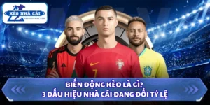 Biến động kèo là gì