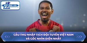 Cầu thủ nhập tịch đội tuyển Việt Nam