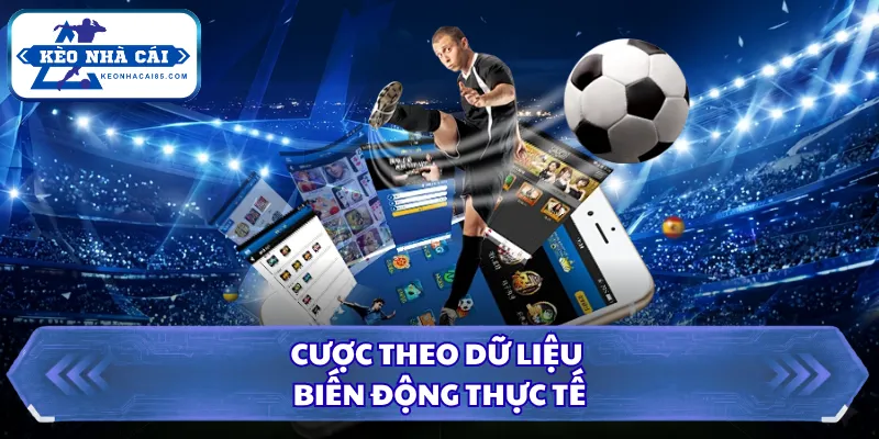 Khi Nào Nên Cược Live, Thời Điểm Vàng Dễ Thắng Lớn 2026 3 Cược theo dữ liệu biến động thực tế