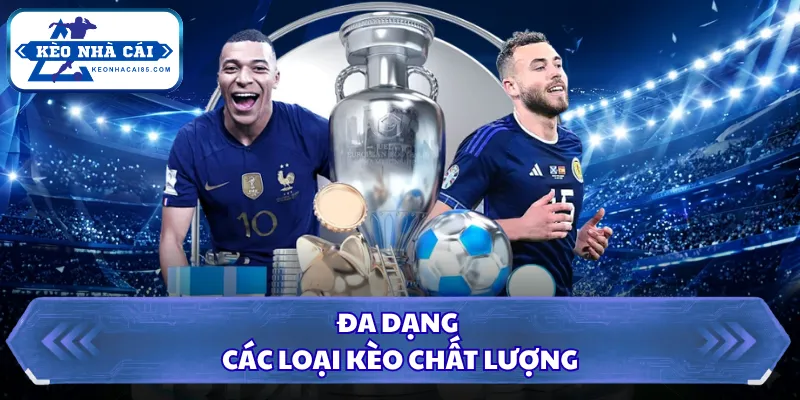 Đa dạng các loại kèo chất lượng