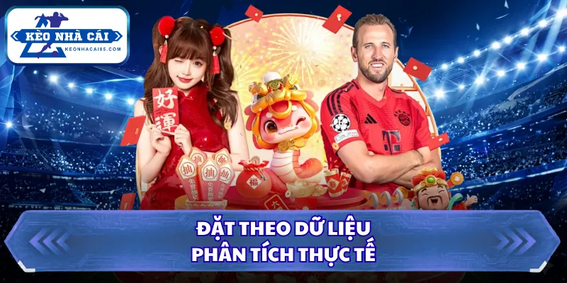 Vì Sao Không Nên All-in - 6 Sai Lầm Khiến Bạn Thua Nặng 3 Đặt theo dữ liệu phân tích thực tế