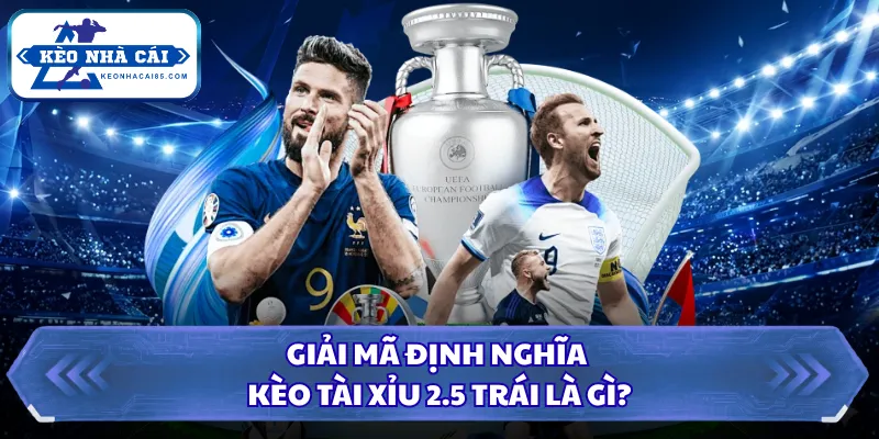 Tài Xỉu 2.5 Trái Là Gì? Hướng Dẫn Đọc Bảng Cược Dễ Hiểu 1 Giải mã định nghĩa kèo tài xỉu 2.5 trái là gì?