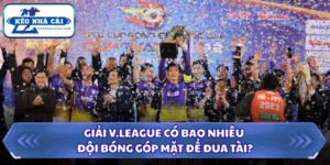 Giải V.League có bao nhiêu đội