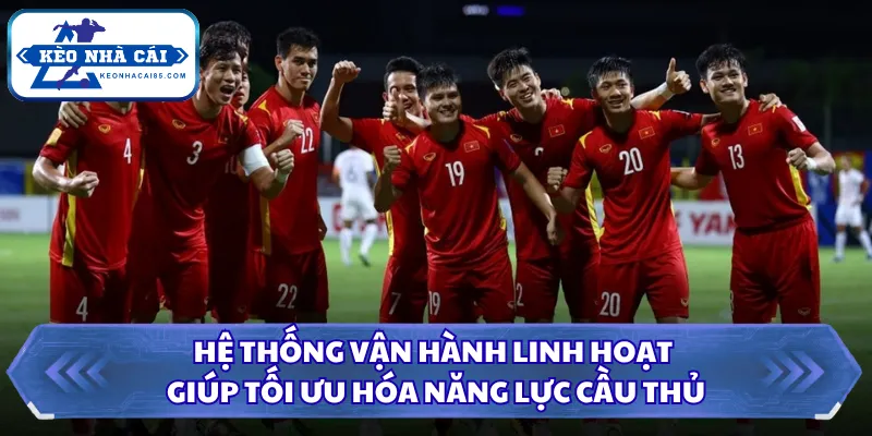 Danh Sách Đội Tuyển Việt Nam Cùng Những Lựa Chọn Nhân Sự 3 Hệ thống vận hành linh hoạt giúp tối ưu hóa năng lực cầu thủ
