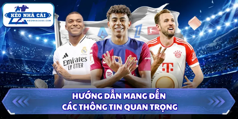 Hướng dẫn mang đến các thông tin quan trọng