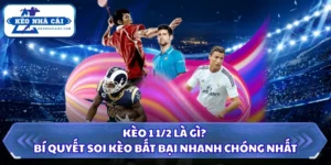 Kèo 1 1/2 là gì