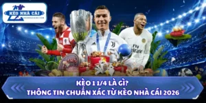Kèo 1 1/4 là gì