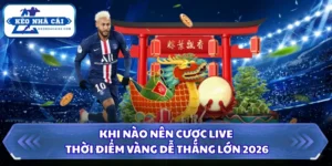 Khi Nào Nên Cược Live