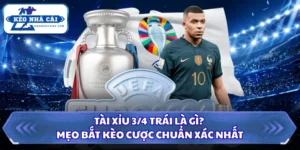 Tài Xỉu 3/4 Trái Là Gì? Mẹo Bắt Kèo Cược Chuẩn Xác Nhất 10 Tài Xỉu 3/4 Trái là gì