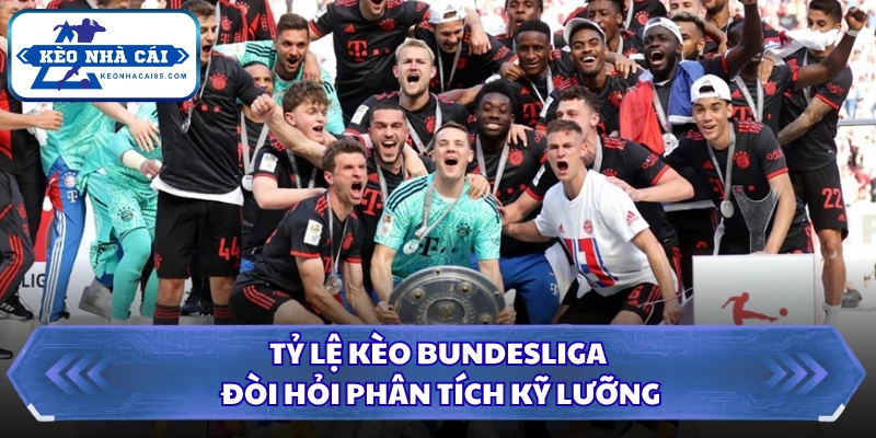 Tỷ lệ kèo Bundesliga đòi hỏi phân tích kỹ lưỡng 