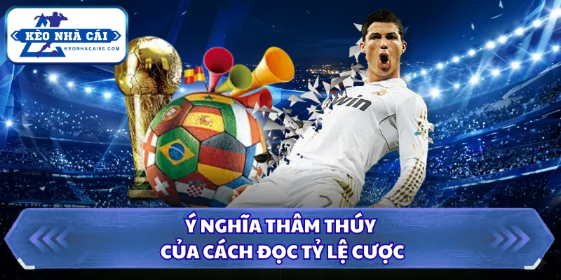 Cách Đọc Tỷ Lệ Cược - Nhận Biết Biến Động Cực Chuẩn 1 Ý nghĩa thâm thúy của cách đọc tỷ lệ cược