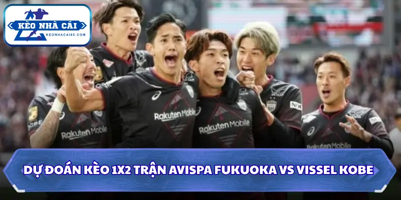 Dự đoán kèo 1X2 trận Avispa Fukuoka vs Vissel Kobe